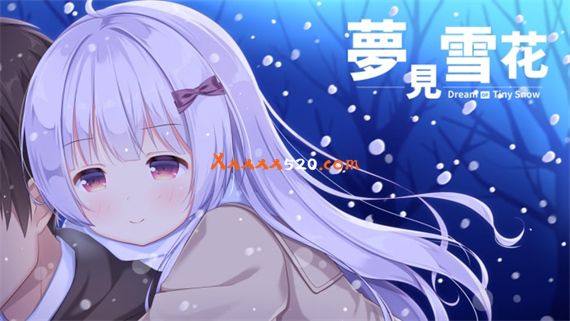 梦见雪花|官方中文|NSZ|原版|_0