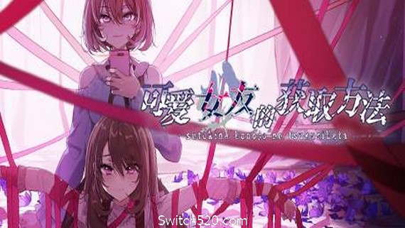 可爱女友的获取方法（V1.1.34-6596853完整版）- Switch520.com_0