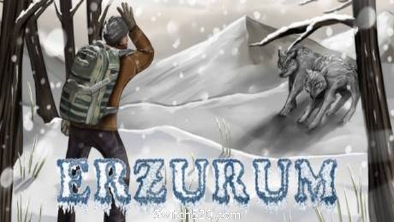 埃尔祖鲁姆/Erzurum- Switch520.com_0