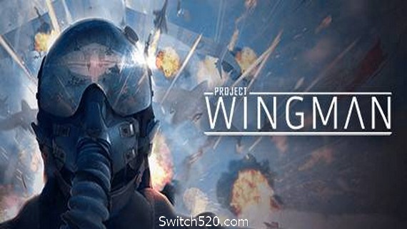 僚机计划/Project Wingman- Switch520.com_0